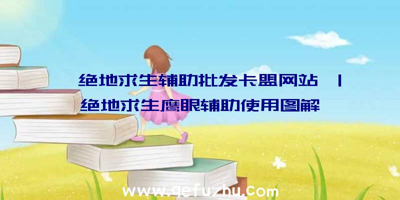 「绝地求生辅助批发卡盟网站」|绝地求生鹰眼辅助使用图解